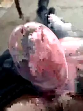 mar4oto1 online show from 03.14.26