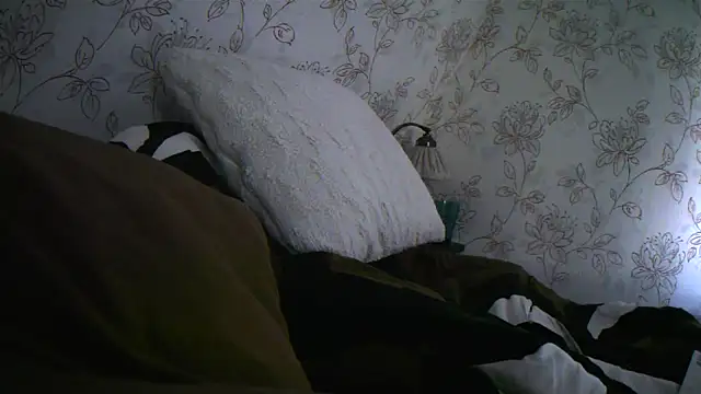 Snapshot of Teemu chatting on 09.27.25 Teemu online show from 09.27.25