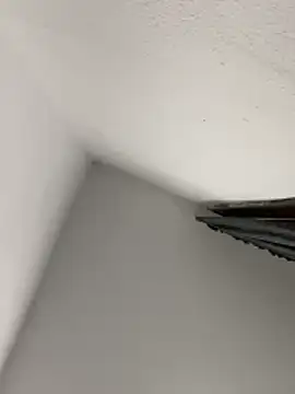 morfeoX online show from 04.18.26