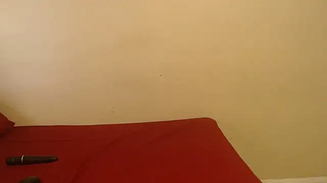 Snapshot of PinkMagic chatting on 09.15.25 PinkMagic online show from 09.15.25