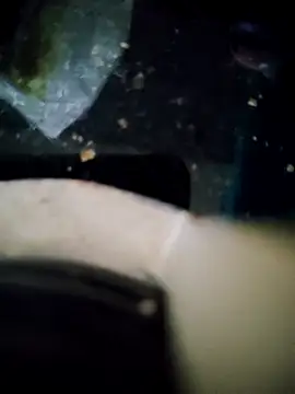 Loly2025 online show from 11.15.25