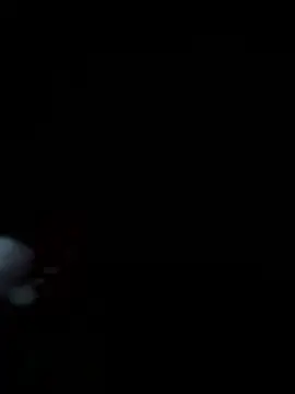 bkardashian online show from 01.09.26