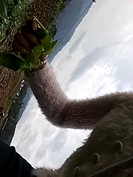 hebe-02 online show from 10.26.25