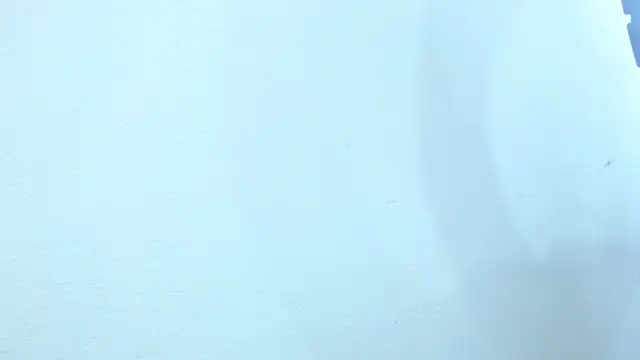 Snapshot of sebastian_colle chatting on 02.26.25 sebastian colle online show from 02.26.25