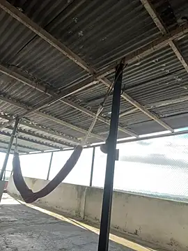  SARA 69 online show from 04.19.26