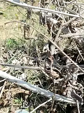 Snapshot of cute1gfbf chatting on 03.05.25 cute1gfbf online show from 03.05.25