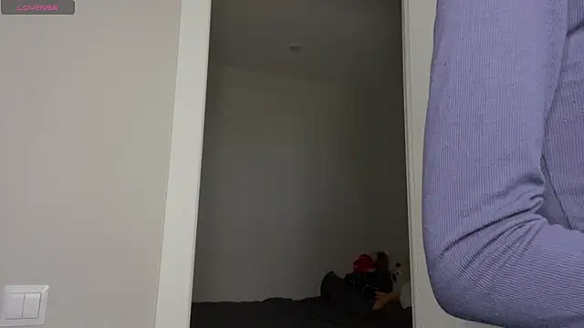 SibleyBurner online show from 04.02.26