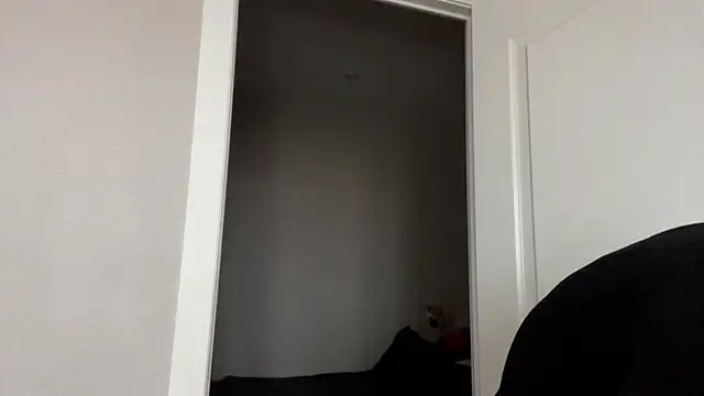 SibleyBurner online show from 04.19.26