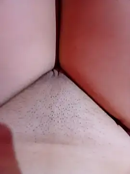 meddy delicinha online show from 03.02.26