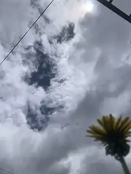 Snapshot of MaxxxSteil chatting on 11.12.25 MaxxxSteil online show from 11.12.25