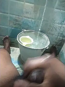 wildfun  online show from 02.26.25