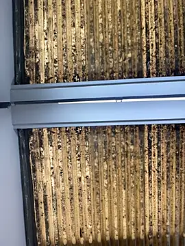 Madisson-Rivas online show from 10.14.25