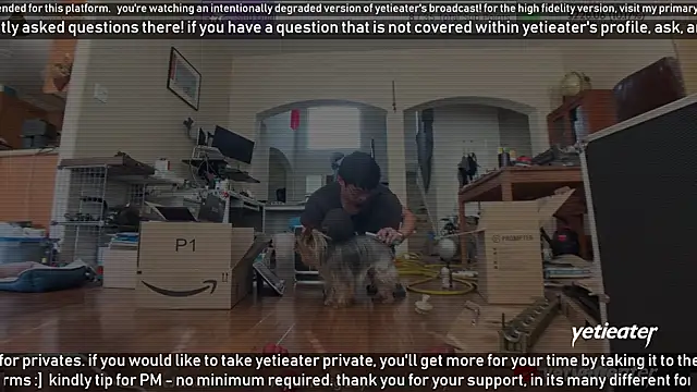 Snapshot of yetieater chatting on 02.13.25 yetieater online show from 02.13.25