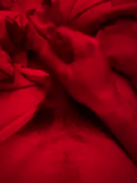 Snapshot of ruchacz24 chatting on 03.06.25 ruchacz24 online show from 03.06.25