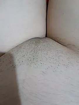 yakot7 online show from 10.31.25