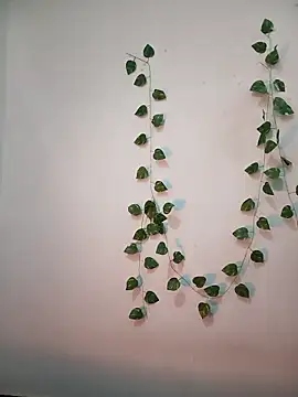 Neha-Bhabhi-Rasily online show from 02.18.26