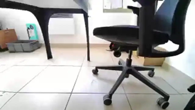 GM51-1988 online show from 04.20.26