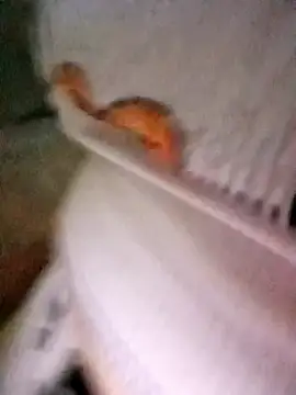 Snapshot of patrona_sexooo chatting on 10.11.25 patrona sexooo online show from 10.11.25