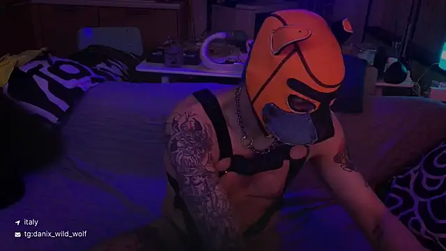 danix wild wolf online show from 03.15.26