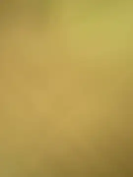 val zx online show from 04.24.26