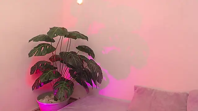 wet valery online show from 04.18.26