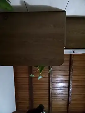 Sexi girl29 online show from 10.02.25