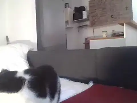 Snapshot of ThePython666 chatting on 03.22.25 ThePython666 online show from 03.22.25