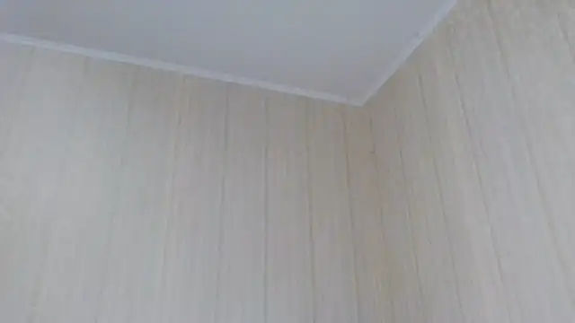  Black-Panther  online show from 10.02.25