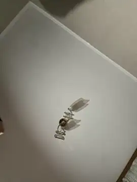 maar tina online show from 10.13.25