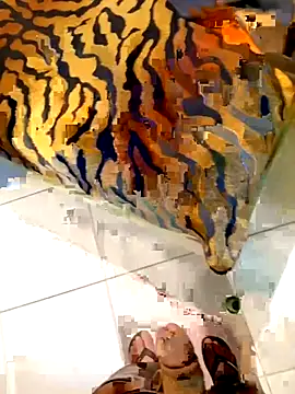 Snapshot of Dglo0000 chatting on 02.28.26 Dglo0000 online show from 02.28.26