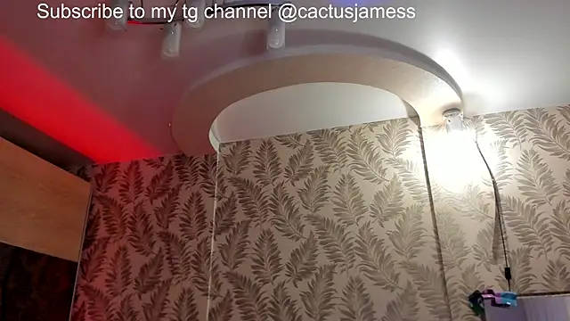 Snapshot of Cactus__James chatting on 12.21.25 Cactus James online show from 12.21.25