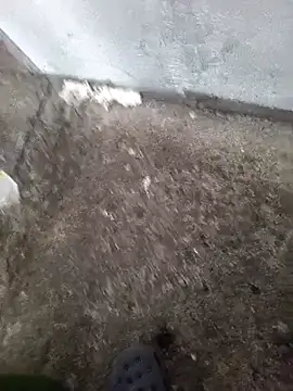 Angel dos019 online show from 03.08.26