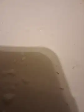 Snapshot of moasslicker chatting on 10.21.25 moasslicker online show from 10.21.25