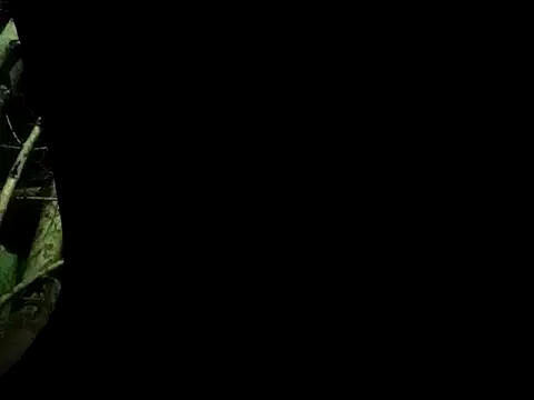 ConfidedAward online show from 09.13.25