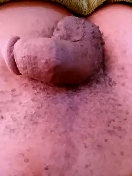 horny1131 online show from 04.11.26