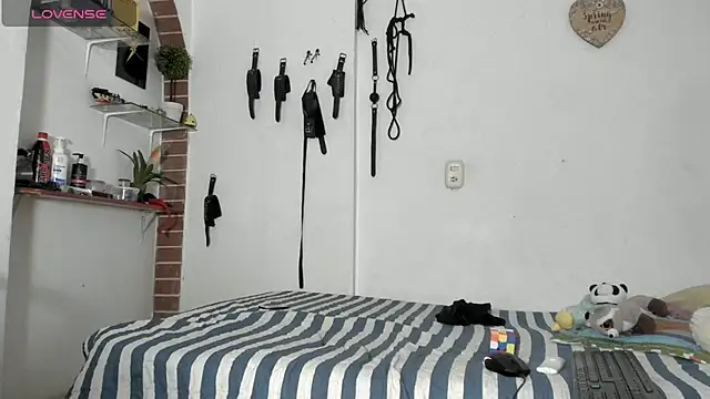 morbo total69 online show from 03.11.26