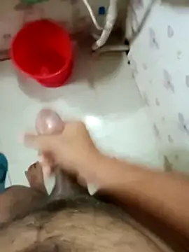 zim200 online show from 04.28.26