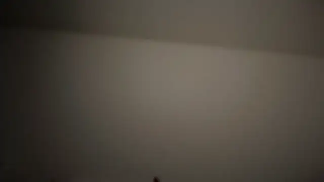 refem9 online show from 04.25.26