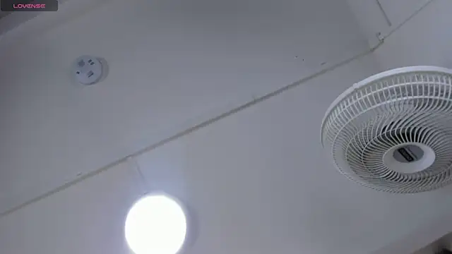 VICTORIAGRAYS online show from 10.11.25