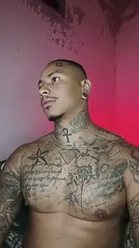 David tatto1 online show from 02.14.26