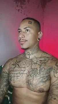 David tatto1 online show from 02.17.26