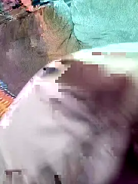 wowokthankyou online show from 03.03.26