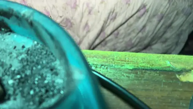 HodgeVibes online show from 04.21.26