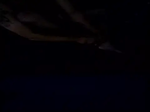 Snapshot of Crossedsissy chatting on 12.15.25 Crossedsissy online show from 12.15.25