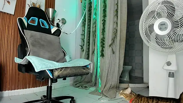 Darwin mayo online show from 12.22.25