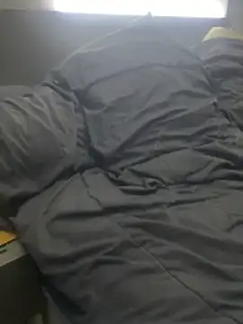 pophiboy online show from 11.15.25