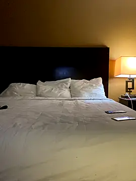 StaciDiamond online show from 11.11.25