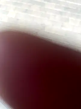 Snapshot of kamo012000 chatting on 10.09.25 kamo012000 online show from 10.09.25