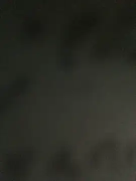 MusaAyla online show from 04.08.26