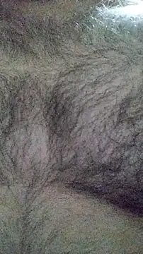 Snapshot of LeoMaduroSP chatting on 01.16.26 LeoMaduroSP online show from 01.16.26